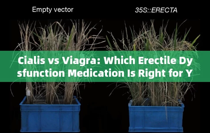 Cialis vs Viagra: Which Erectile Dysfunction Medication Is Right for You?