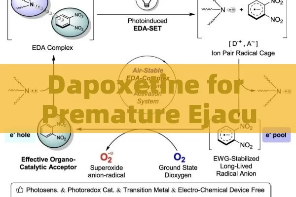 Dapoxetine for prematurity Ejaculation, not Erectile Dysfunction